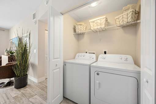 A laundry room with two washing machines and a potted plant.