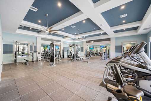 A gym with a variety of equipment including treadmills, weights, and a fan.