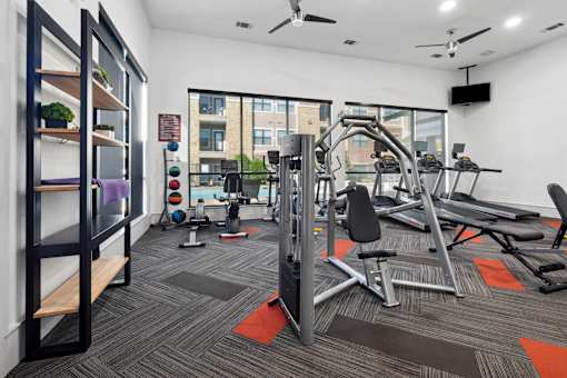 A gym with a variety of equipment including a treadmill, weights, and a bench press.