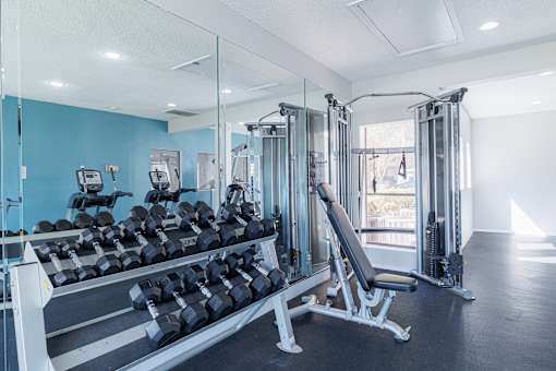 A gym with a row of dumbbells and a bench press.