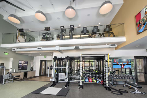 a workout room with weights and cardio equipment in a building