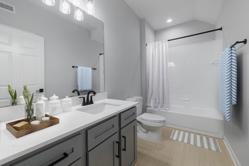 a bathroom with a sink and a toilet and a shower