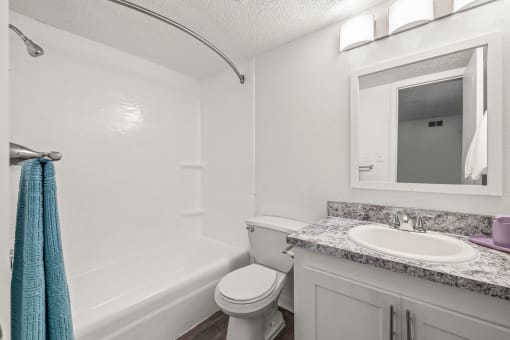 a bathroom with a sink toilet and a mirror