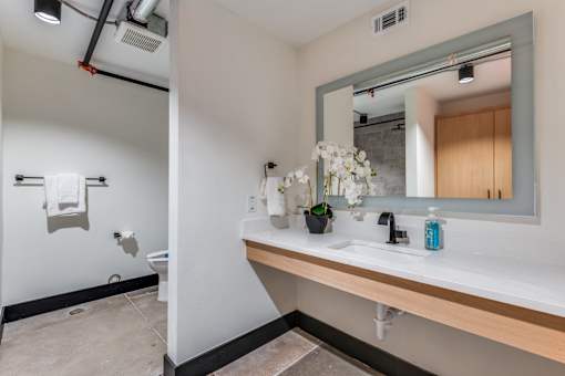 A bathroom with a white sink and a mirror.