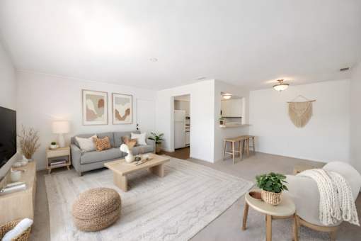 A living room with a grey couch, a wooden coffee table, and a white rug.