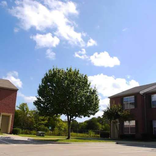 A tree stands in front of a brick building on a sunny day.