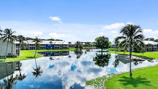 a body of water with palm trees in front of a building