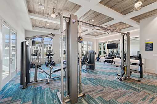 A gym with a variety of equipment including a squat rack, a bench press, and a rowing machine.