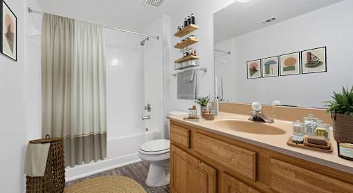 A bathroom with a toilet, sink, and shower.