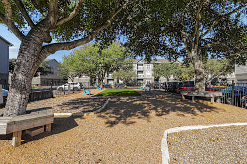 A playground with a white line on the ground and a tree in the background.