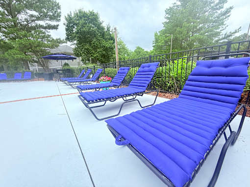 A row of blue lounge chairs are lined up on a patio.