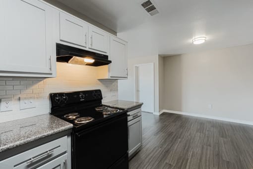 luxury kitchen in houston apartments