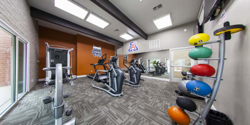 a gym with cardio machines and weights at the monarch apartments in midtown