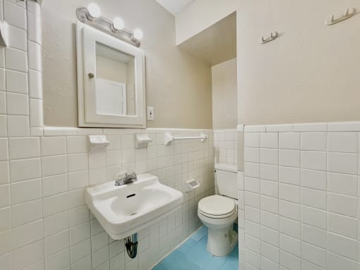 a bathroom with a sink and a toilet and a mirror