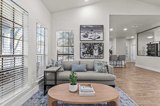 A living room with a couch, a coffee table, and a plant on it.