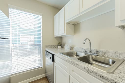 kitchen sink in north houston apartments