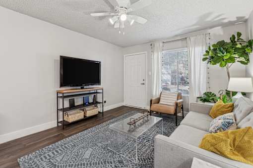 living room.