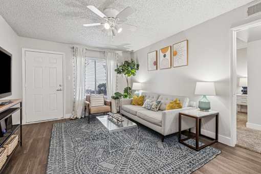 couch in living room.