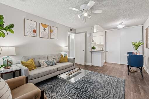 couch in living room.