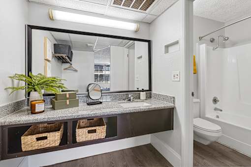 A bathroom with a large mirror above a counter with a plant and other items on it.