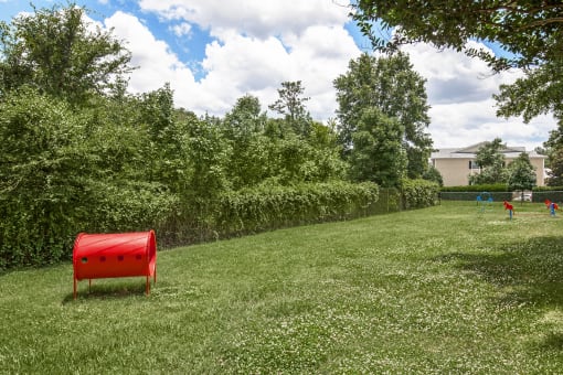 a red chair sitting in the middle of a field