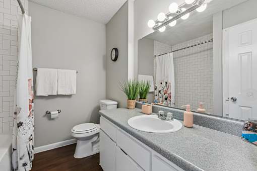 A bathroom with a toilet, sink, mirror, and a plant.