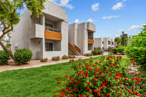 a picture of a building with a green lawn and red flowers in the foreground