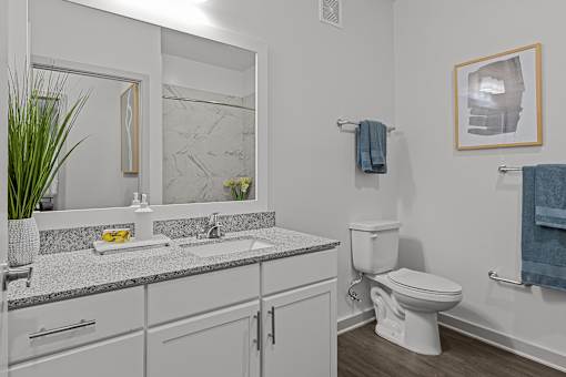 A bathroom with a toilet, sink, and mirror.