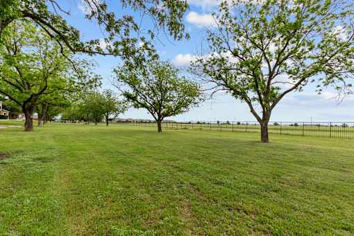 A grassy field with trees and a fence in the distance.