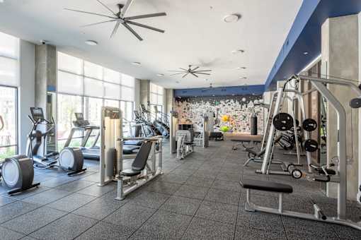 A gym with a variety of equipment including treadmills, weights, and exercise machines.