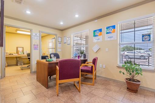 A room with a desk, chairs, and a potted plant.