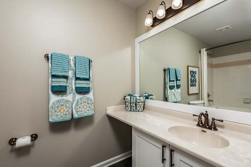 A bathroom with a white sink and a mirror.