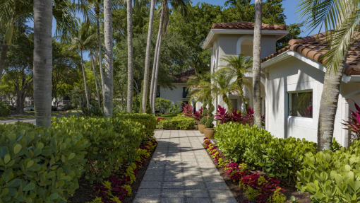 a walkway leading to a white house with palm trees