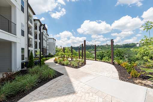 A walkway with a metal fence and plants on both sides.