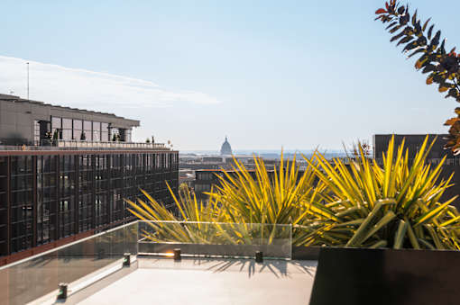 A yellow plant sits in front of a building with a view of the city in the background.