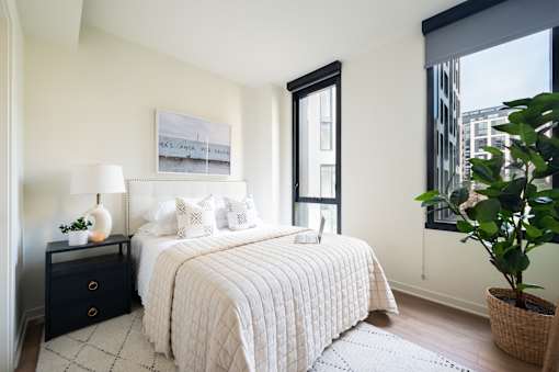 A bedroom with a large bed, a nightstand with a lamp, and a potted plant.