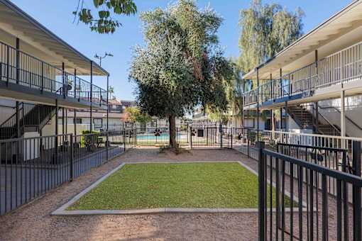 A courtyard with a tree and a fence.