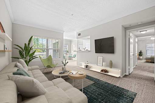 A living room with a grey couch and a green rug.