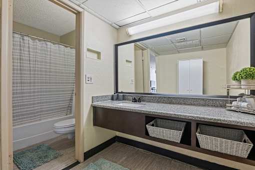 A bathroom with a toilet, sink, and mirror.