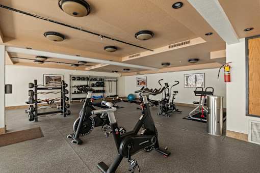 A gym with exercise equipment and a fire extinguisher.