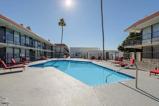 A sunny day at the pool with chairs and palm trees.