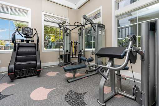A gym with a treadmill, a bench press, and a squat rack.