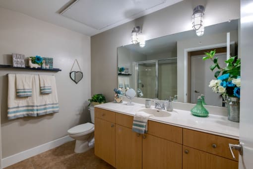 fort worth 1 bedroom apartments for rent with large bathrooms