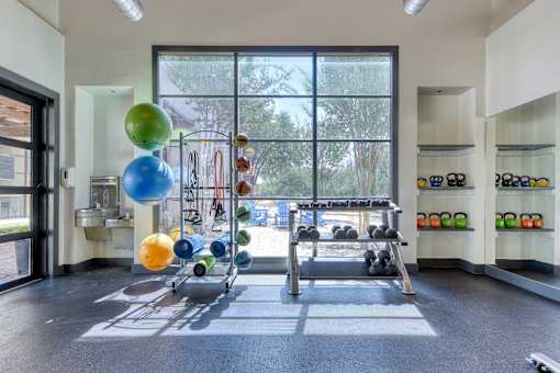 A gym with a row of exercise balls and weight plates.