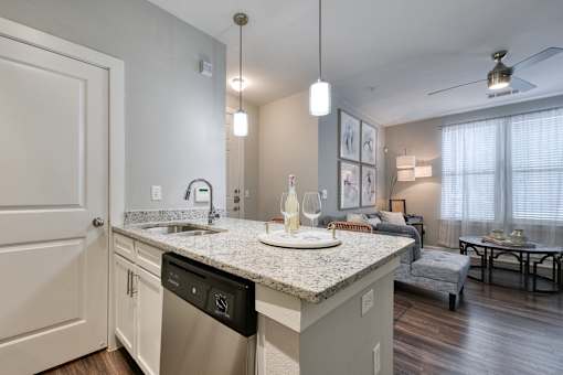 A kitchen with a granite countertop and stainless steel dishwasher.