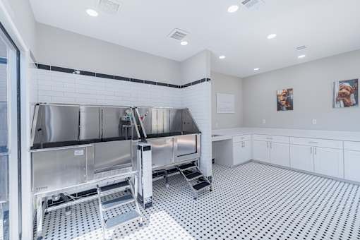 A clean, modern kitchen with a large stainless steel sink and white cabinets.