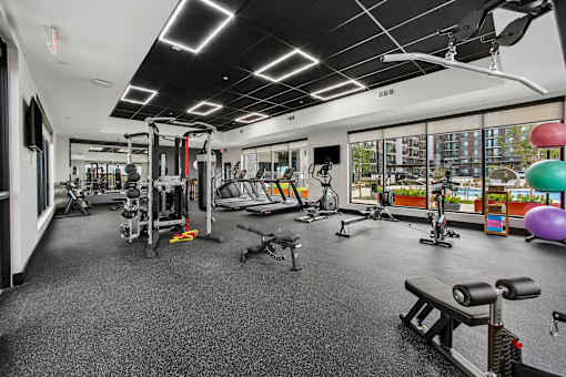 A gym with a variety of equipment including weights and cardio machines.