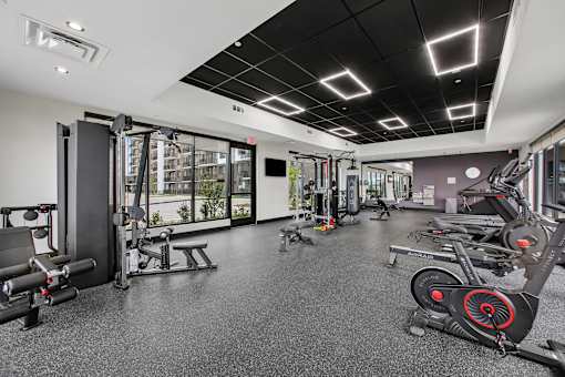 A gym with a variety of equipment including treadmills, weights, and exercise machines.