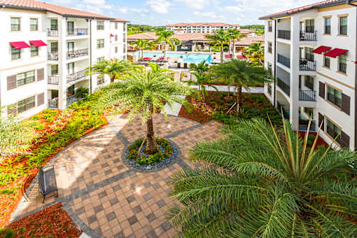 A courtyard with a palm tree in the middle of it.