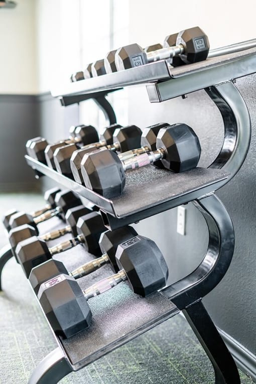 weights